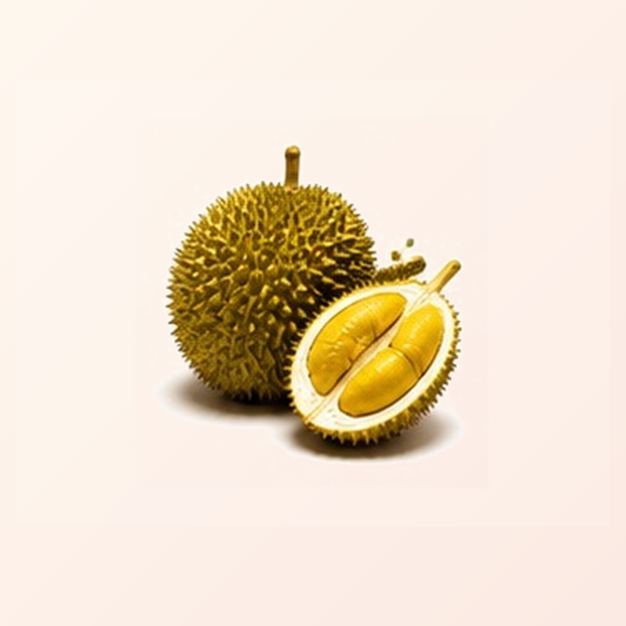 馬來西亞榴槤代購